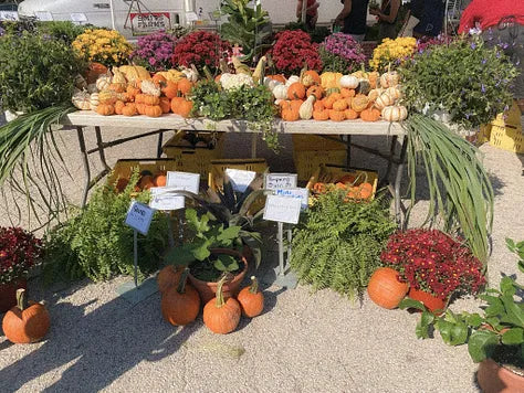 The Seasonal Skincare Routine Most Guides Get Wrong