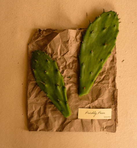 Prickly pear