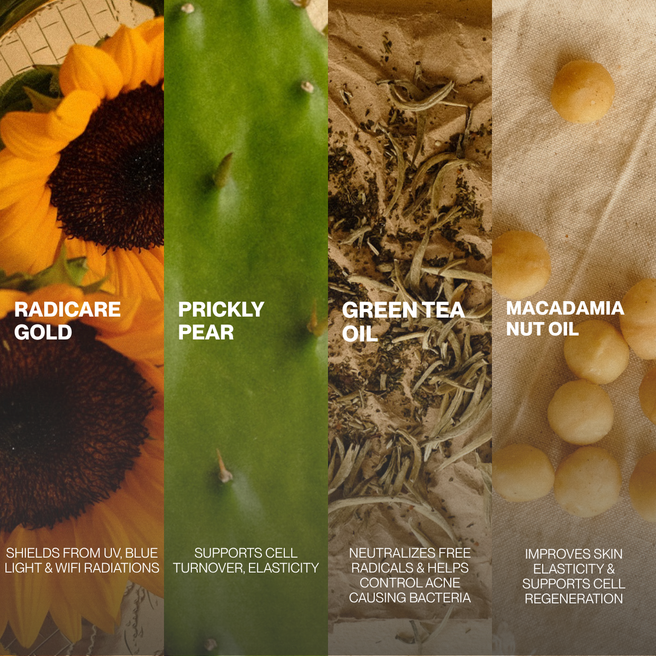 PRICKLY PEAR ANTIOXIDANT FACE SERUM