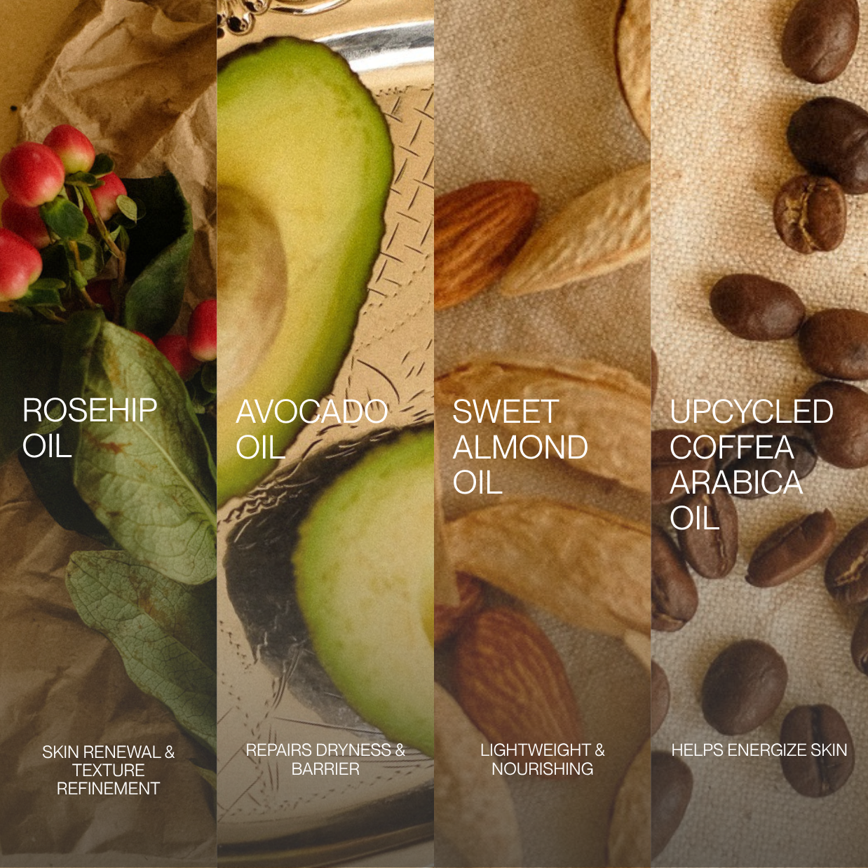 ARABICA & AMANDE BODY OIL