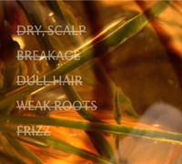 Close-up of hair strands with text overlay - dry scalp, breakage, dull hair and weak roots on a blurred background