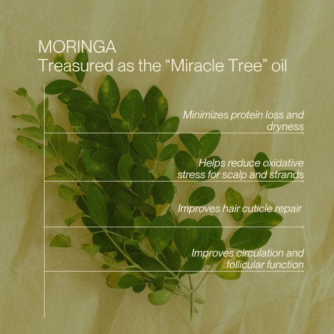 MORINGA SCALP OIL