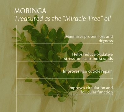 Moringa leaves with text about its benefits on a beige background