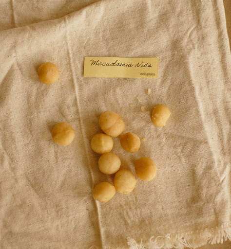 Macadamia Nuts