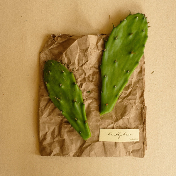 PRICKLY PEAR ANTIOXIDANT SERUM