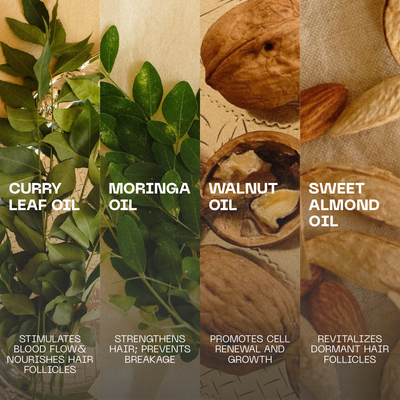 Illustration of curry leaf oil, moringa oil, walnut oil, and sweet almond oil with their respective benefits.
Moringa scalp oil ingredients - curry leaf, argan, macadamia oils