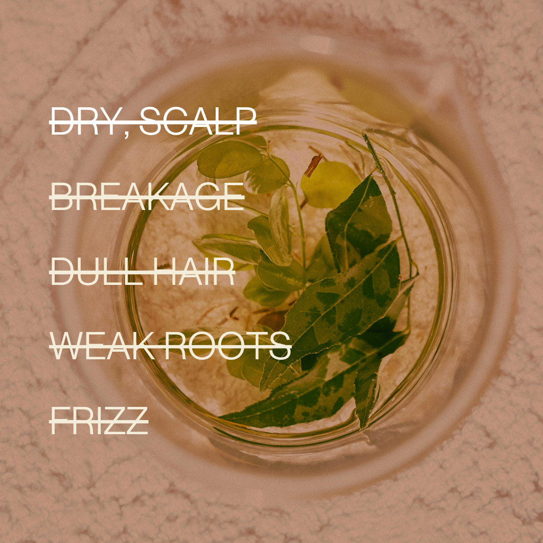 MORINGA SCALP OIL