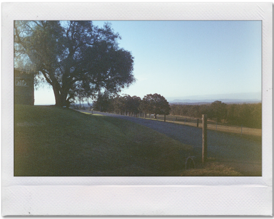 Scenic view of a road with trees and a clear sky, framed with a white border.