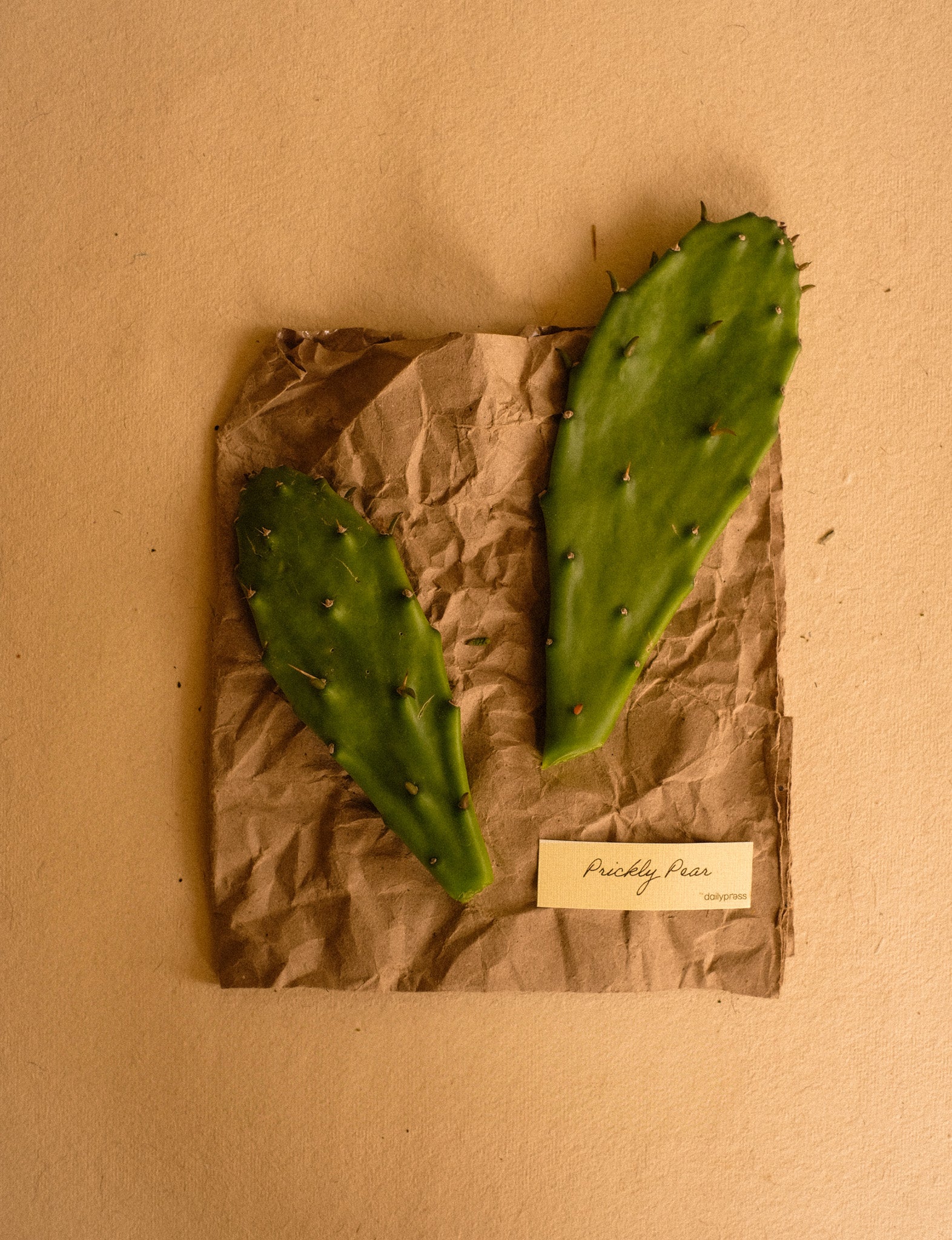 Two green prickly pear cactus leaves on a crumpled brown paper with a label on a beige background